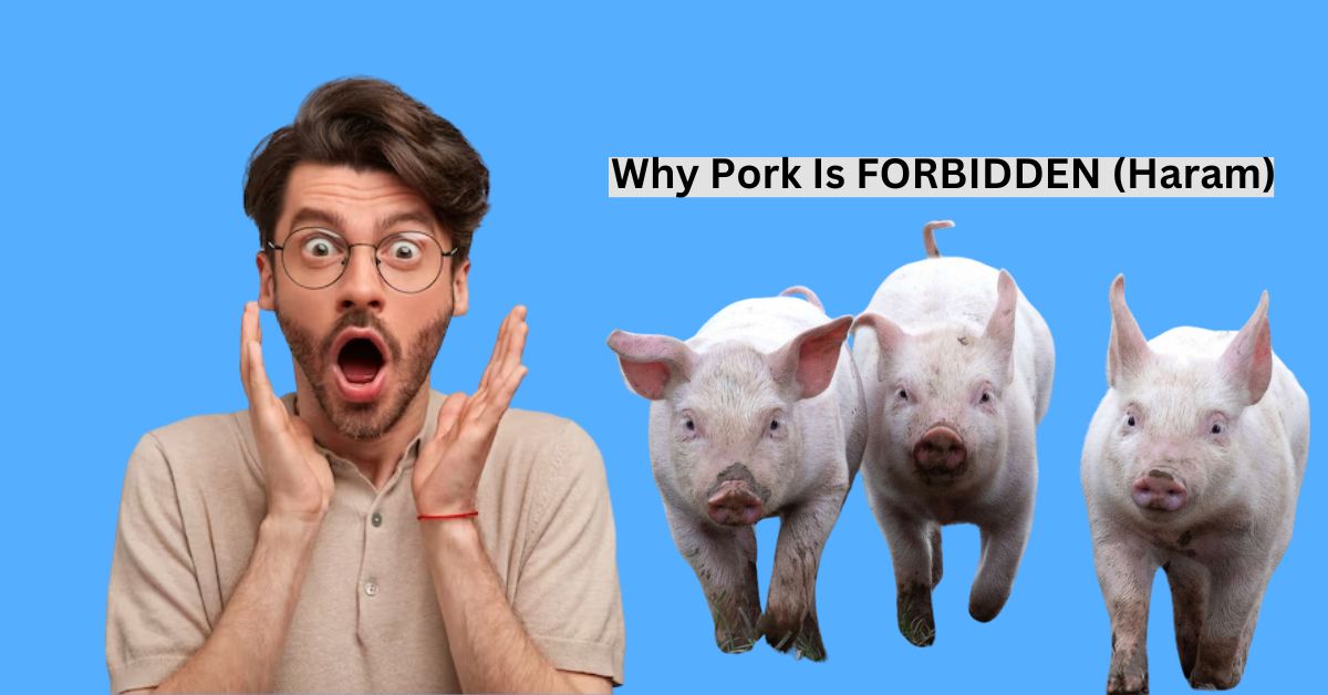 Why Pork Is FORBIDDEN (Haram)