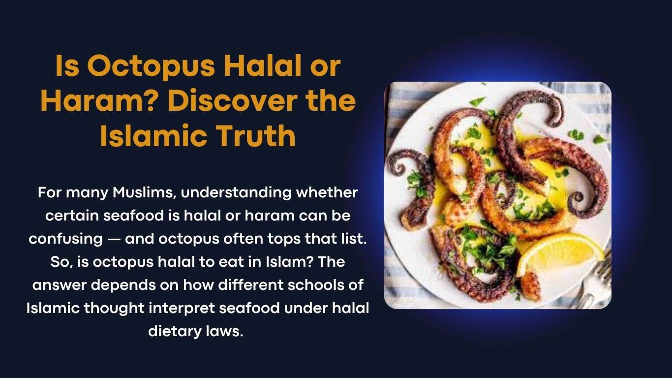 Is Octopus Halal or Haram?