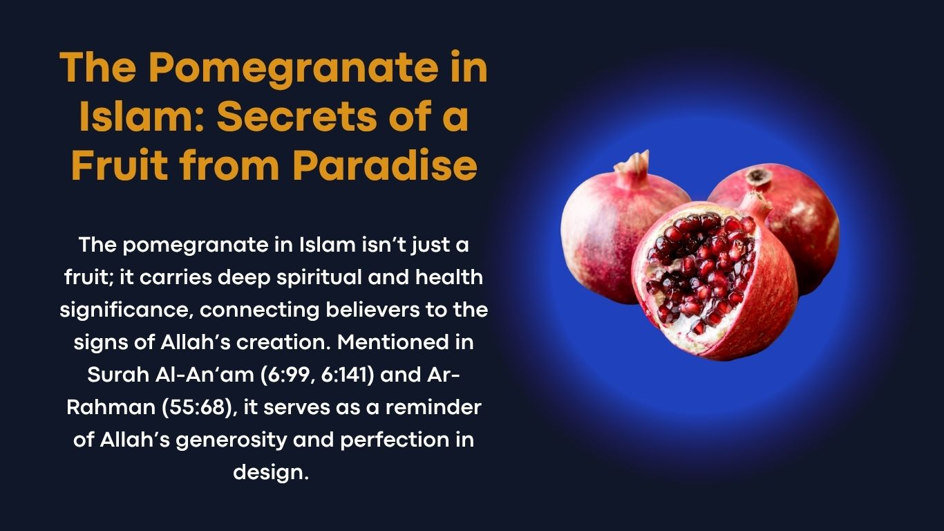 The Pomegranate in Islam