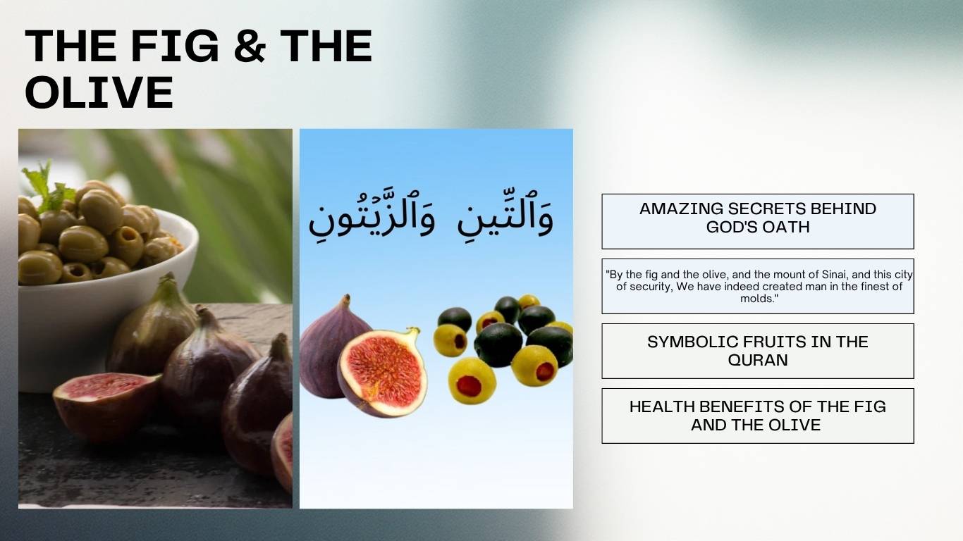 The Fig and The Olive